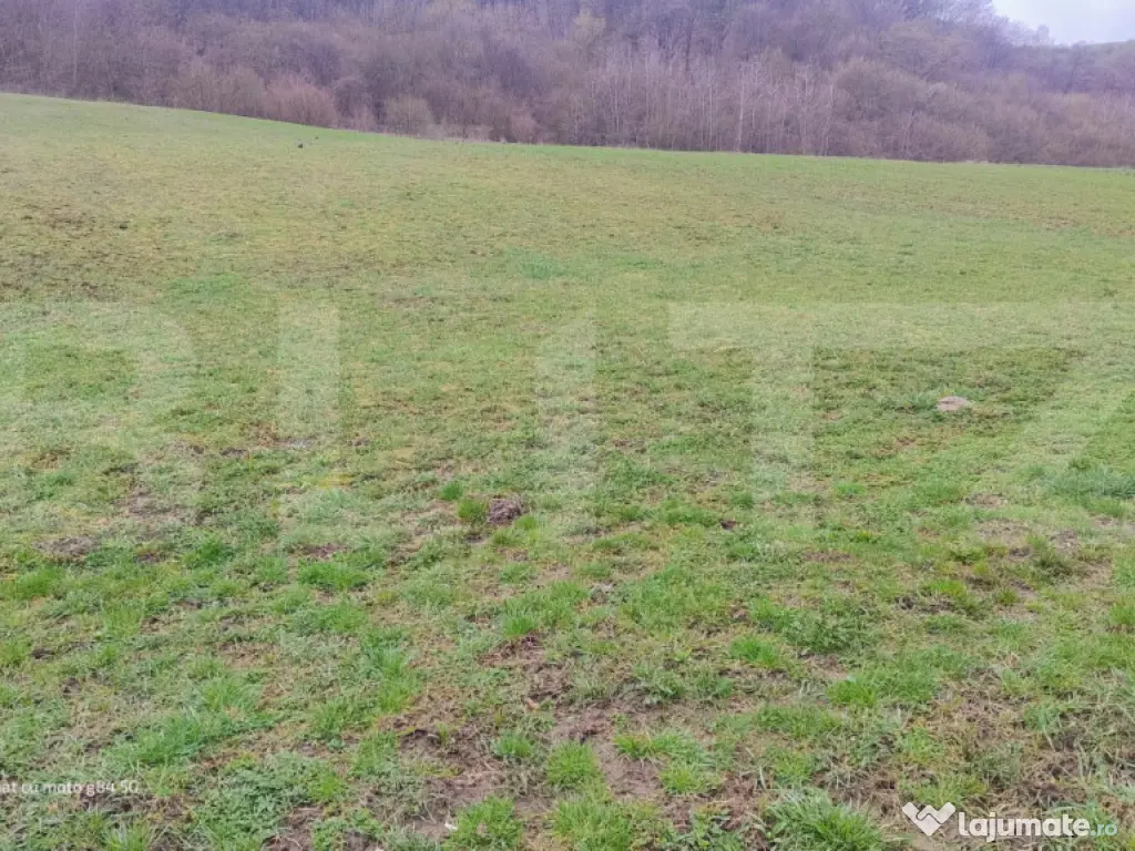 Teren superb 2.500 mp în Nicula – liniște, natură și p