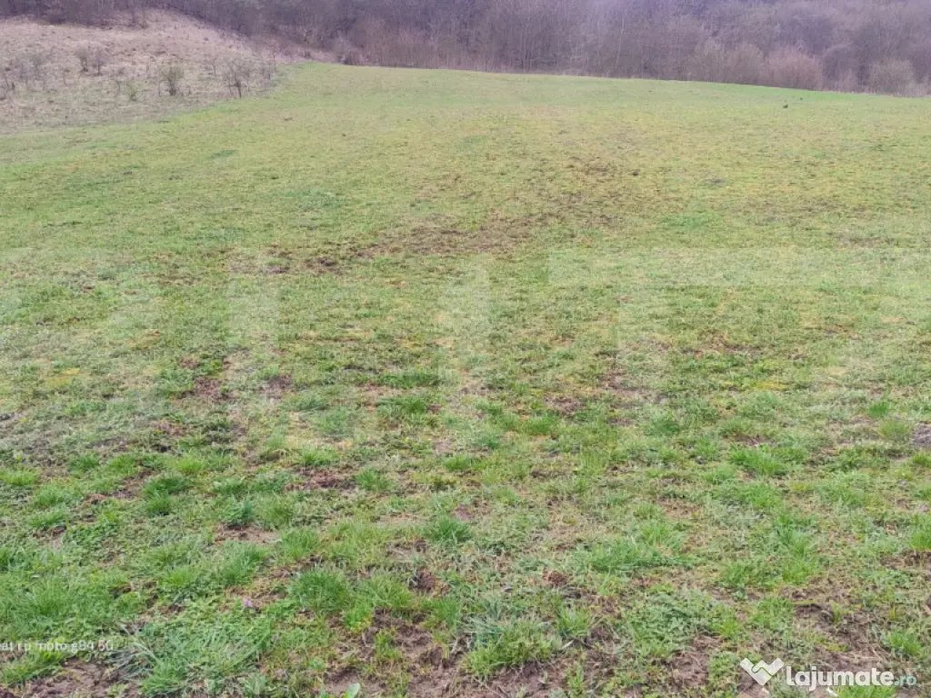 Teren superb 2.500 mp în Nicula – liniște, natură și p