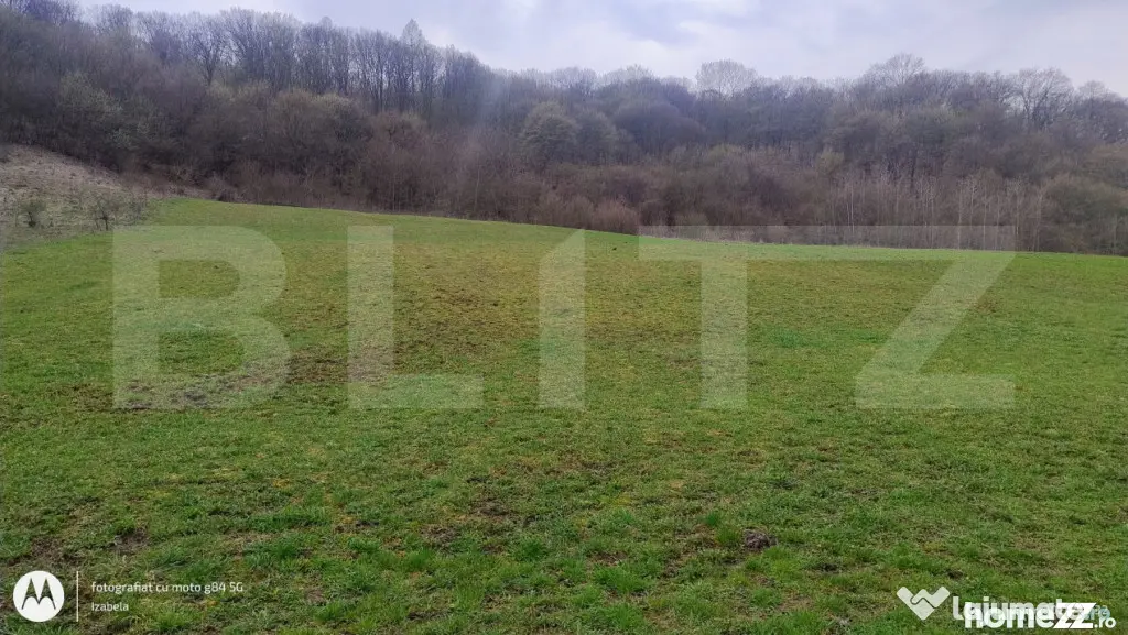 Teren superb 2.500 mp în Nicula – liniște, natură și p