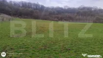 Teren superb 2.500 mp în Nicula – liniște, natură și p