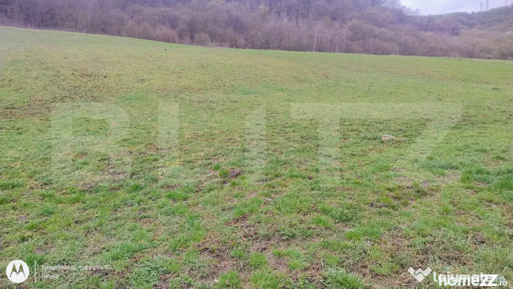 Teren superb 2.500 mp în Nicula – liniște, natură și p