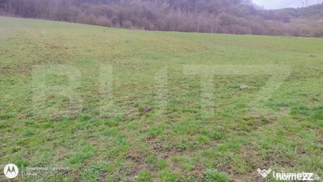 Teren superb 2.500 mp în Nicula – liniște, natură și p