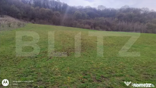 Teren superb 2.500 mp în Nicula – liniște, natură și p