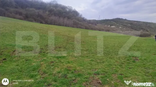 Teren superb 2.500 mp în Nicula – liniște, natură și p