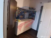 Camera de camin de vanzare 