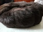 Basca dama noua.