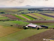 FILM! 18.000 mp, extravilan, agricol constructii:ferma,inve 