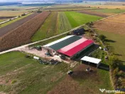 FILM! 18.000 mp, extravilan, agricol constructii:ferma,inve 