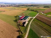 FILM! 18.000 mp, extravilan, agricol constructii:ferma,inve 