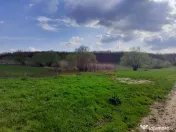 DE VANZARE TEREN 3400 MP IN SAT PODU ILFOVAT / COM BUTURU... 