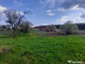 DE VANZARE TEREN 3400 MP IN SAT PODU ILFOVAT / COM BUTURU... 