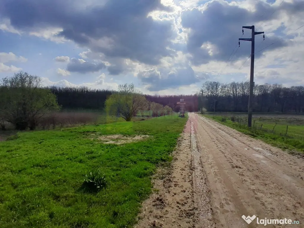 DE VANZARE TEREN 3400 MP IN SAT PODU ILFOVAT / COM BUTURU...