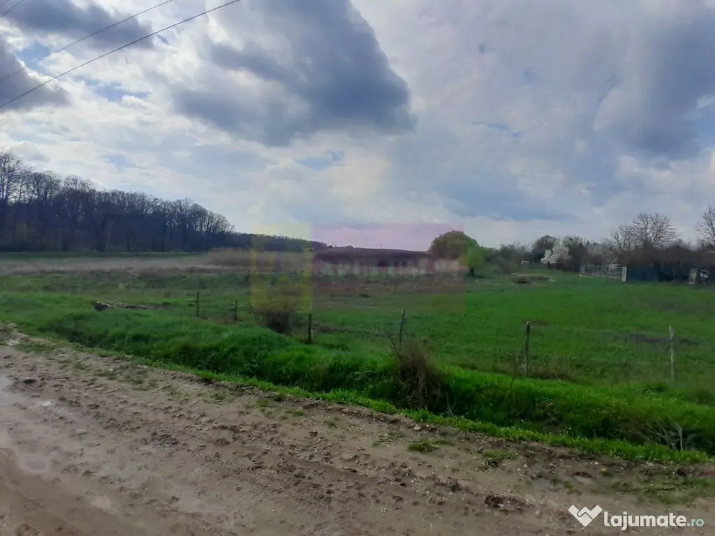 DE VANZARE TEREN 3400 MP IN SAT PODU ILFOVAT / COM BUTURU...