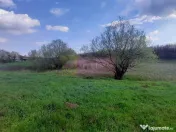 DE VANZARE TEREN 3400 MP IN SAT PODU ILFOVAT / COM BUTURU... 