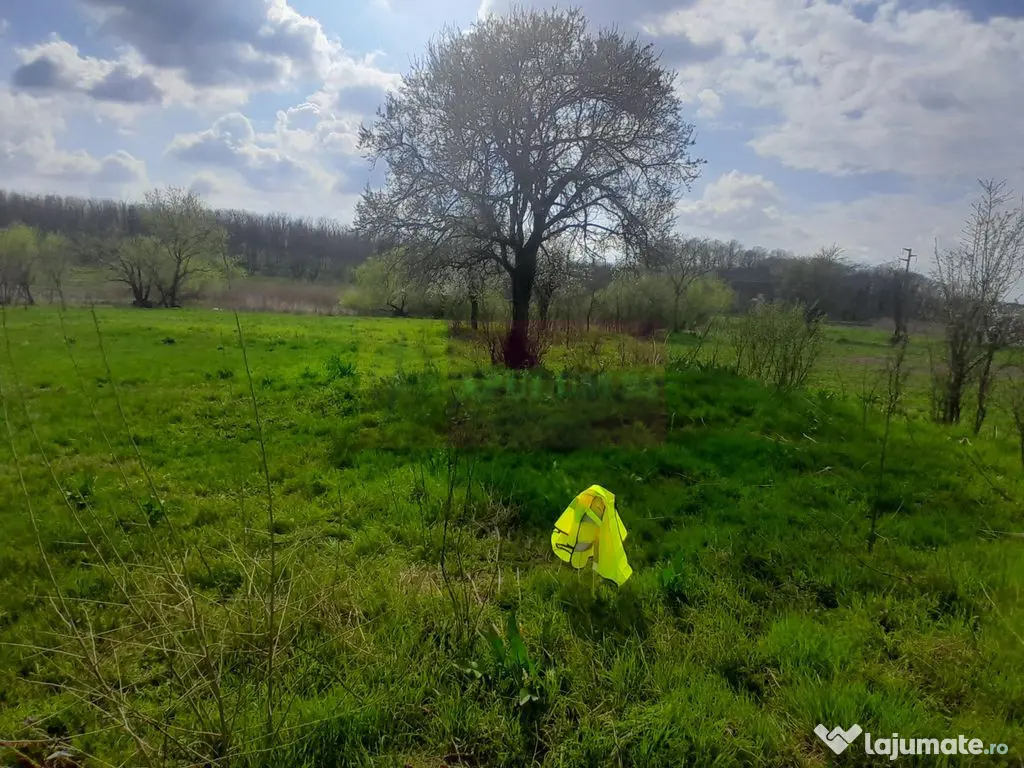 DE VANZARE TEREN 3400 MP IN SAT PODU ILFOVAT / COM BUTURU...