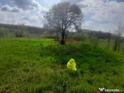 DE VANZARE TEREN 3400 MP IN SAT PODU ILFOVAT / COM BUTURU... 