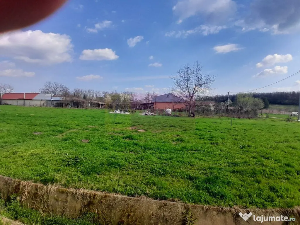 DE VANZARE TEREN 3400 MP IN SAT PODU ILFOVAT / COM BUTURU...