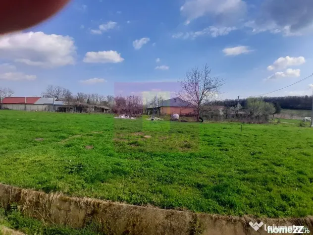 GIURGIU - SE VINDE TEREN 3400 MP IN SAT PODU ILFOVATULUI - Buturugeni (Giurgiu)