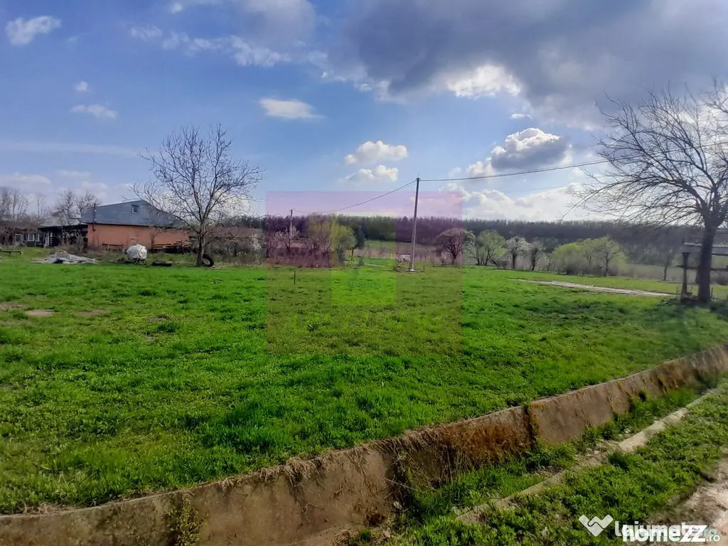 GIURGIU - SE VINDE TEREN 3400 MP IN SAT PODU ILFOVATULUI - Buturugeni (Giurgiu)