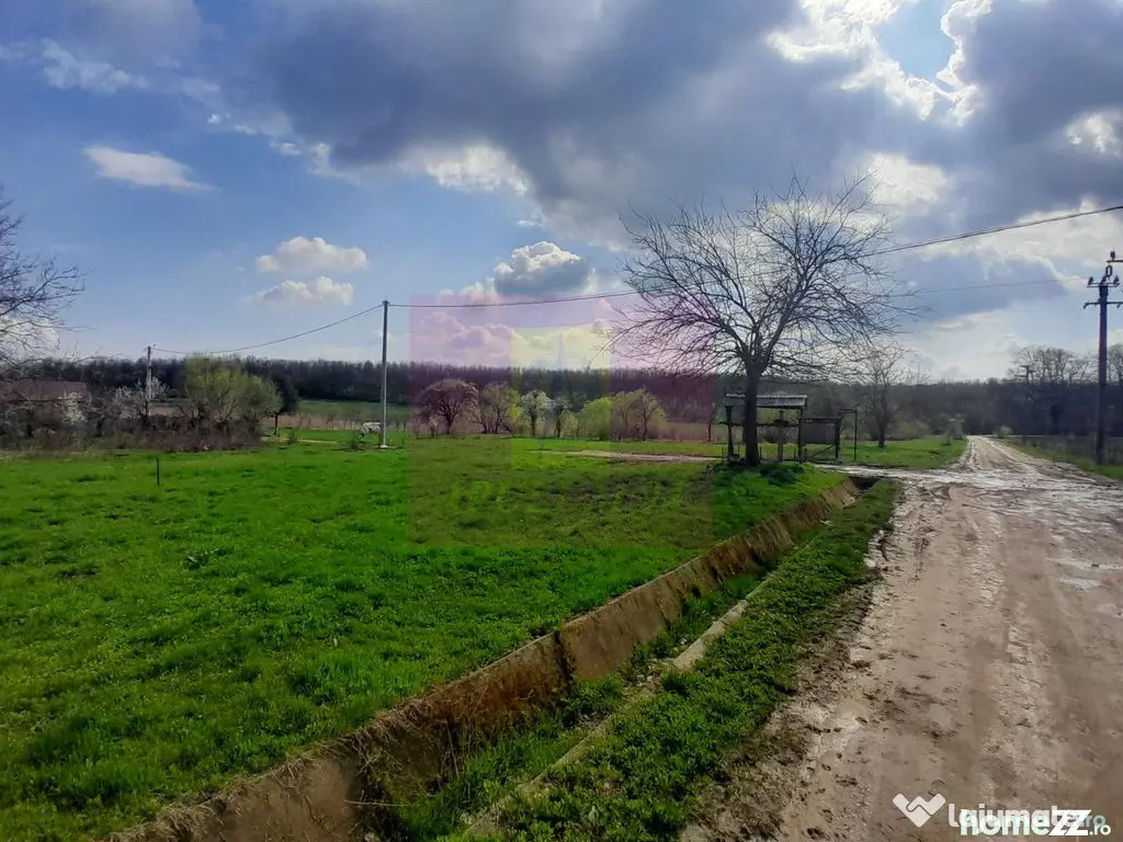 GIURGIU - SE VINDE TEREN 3400 MP IN SAT PODU ILFOVATULUI - Buturugeni (Giurgiu)