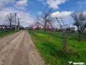 GIURGIU - SE VINDE TEREN 3400 MP IN SAT PODU ILFOVATULUI