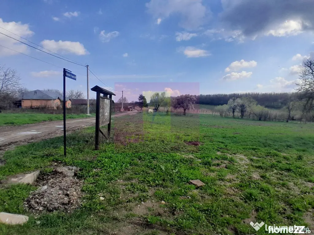 GIURGIU - SE VINDE TEREN 3400 MP IN SAT PODU ILFOVATULUI - Buturugeni (Giurgiu)
