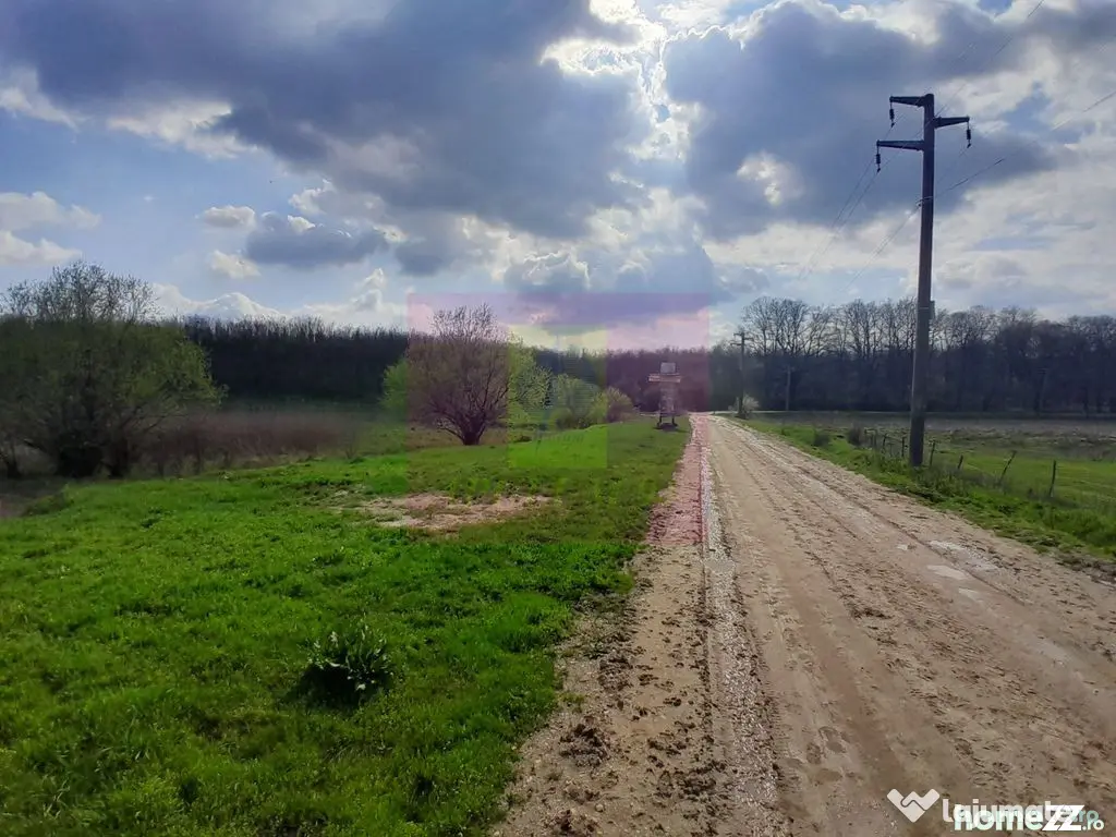 GIURGIU - SE VINDE TEREN 3400 MP IN SAT PODU ILFOVATULUI - Buturugeni (Giurgiu)