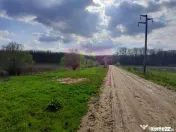 GIURGIU - SE VINDE TEREN 3400 MP IN SAT PODU ILFOVATULUI
