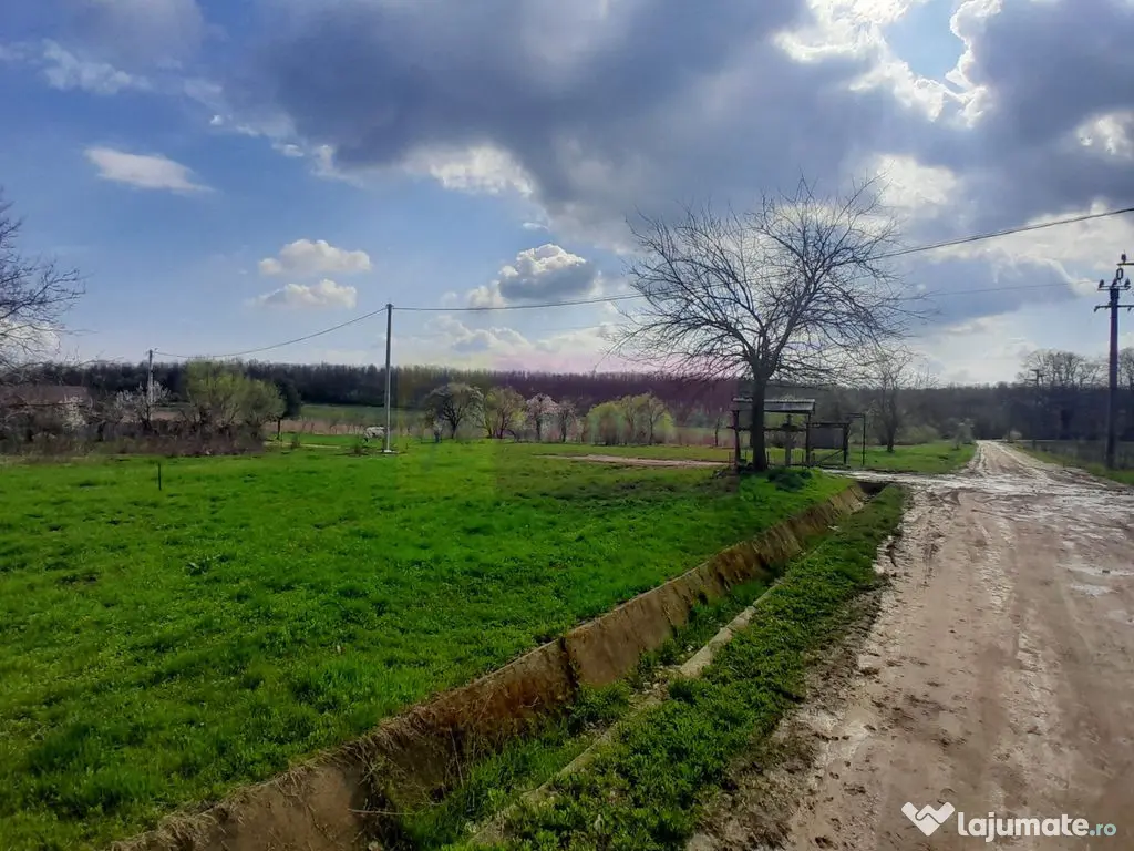 DE VANZARE TEREN 3400 MP IN SAT PODU ILFOVAT / COM BUTURU...