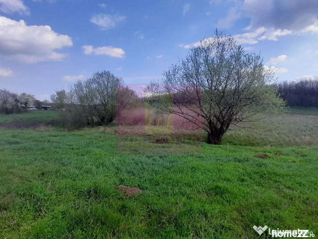 GIURGIU - SE VINDE TEREN 3400 MP IN SAT PODU ILFOVATULUI - Buturugeni (Giurgiu)