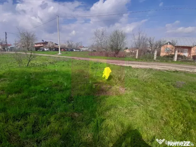 GIURGIU - SE VINDE TEREN 3400 MP IN SAT PODU ILFOVATULUI - Buturugeni (Giurgiu)
