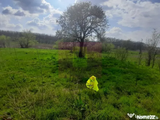 GIURGIU - SE VINDE TEREN 3400 MP IN SAT PODU ILFOVATULUI - Buturugeni (Giurgiu)