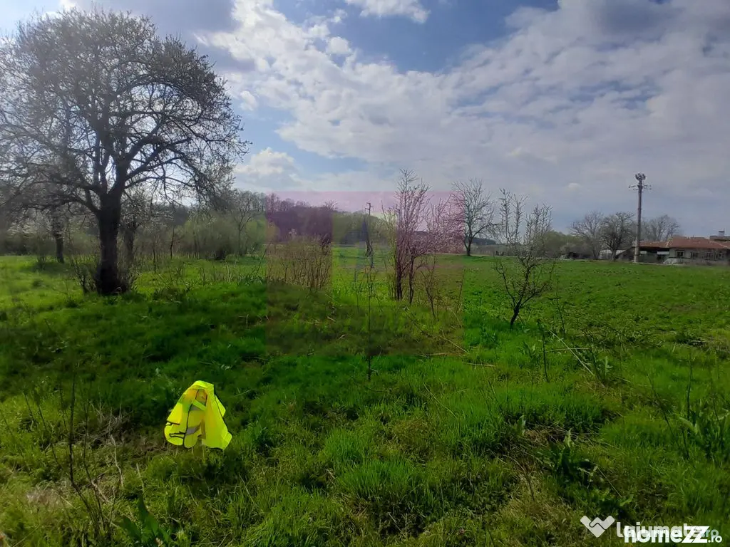 GIURGIU - SE VINDE TEREN 3400 MP IN SAT PODU ILFOVATULUI - Buturugeni (Giurgiu)