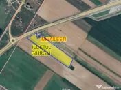 9 ha, Intravilan, Centura Mihailesti, Barter, Joint Venture 