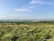 Teren 1000 mp, zona Rogojel 