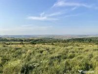 Teren 1000 mp, zona Rogojel 