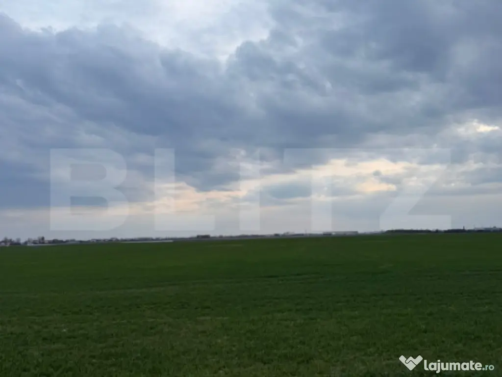 Teren extravilan comuna Pielesti