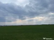 Teren extravilan comuna Pielesti 