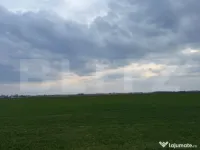 Teren extravilan comuna Pielesti 