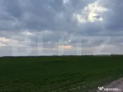 Teren extravilan comuna Pielesti 