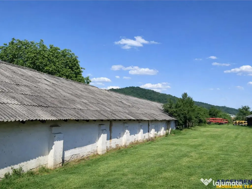 Spatiu comercial Industrial multifunctional: productie, depo