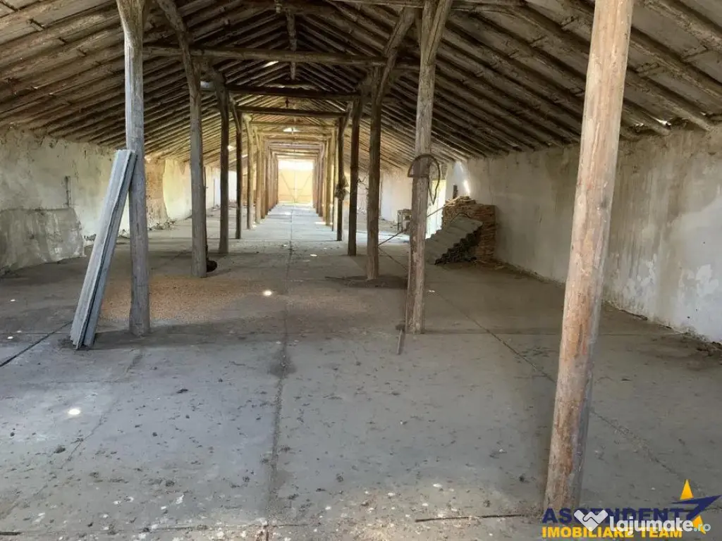 Spatiu comercial Industrial multifunctional: productie, depo