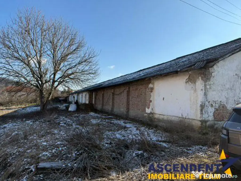 Spatiu comercial Industrial multifunctional: productie, depo