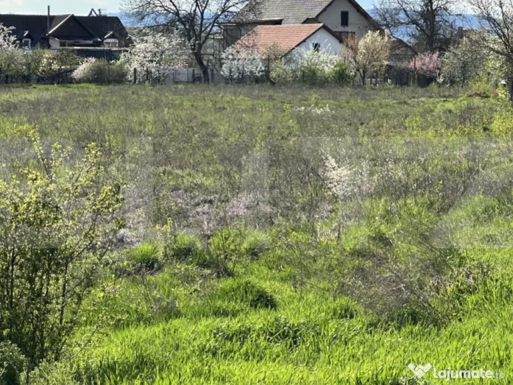 ???? Teren intravilan 6.109 mp – zonă centrală Simeria,