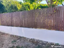 Poarta din fier 1975