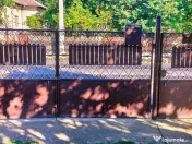 Poarta din fier 1975 