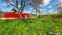 Teren intravilan, 509 mp, deschidere 30 m, com. Vernesti