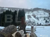 Casa de vacanta, 140mp, 5 camere, jacuzii, sauna, Buscat Ski 