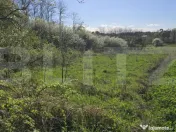 Casa 3 amere 120 mp, 4600 teren -Sat SAI 