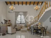 Refugiu urban în București: vilă elegantă, grădină mat 